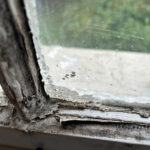 Decayed Sash Window