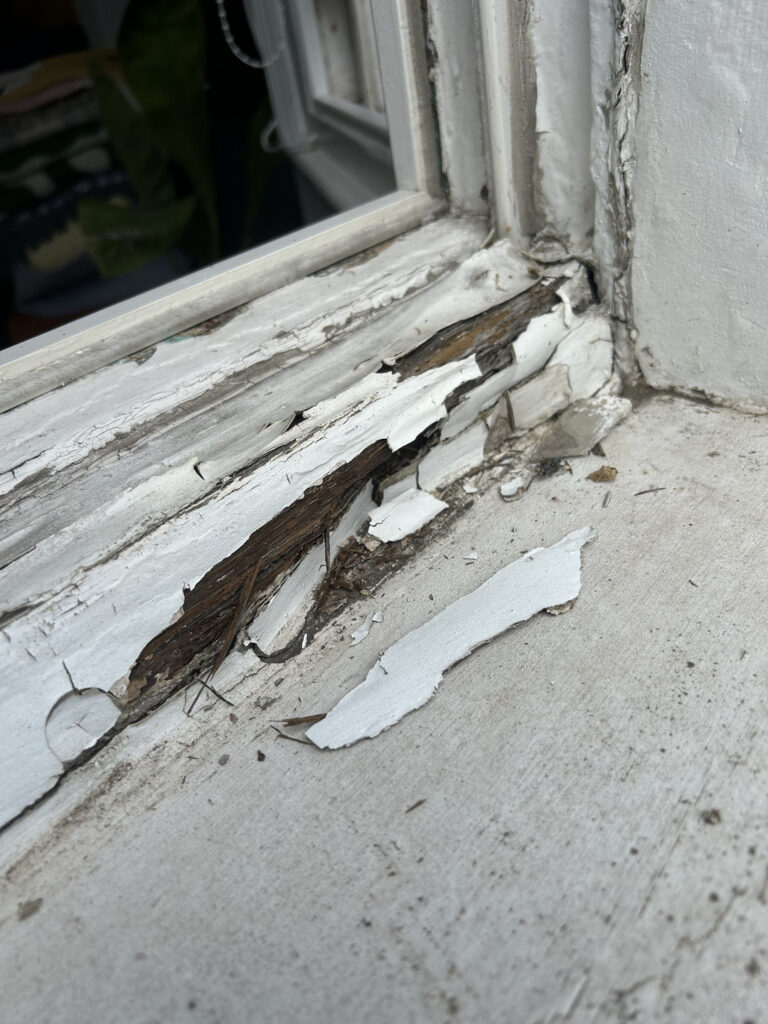 Sash Window Sill Replacement